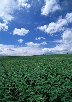 県知事認証の非営利団体が行う低予算の葬式