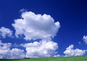 鹿児島において葬式をしたいときには