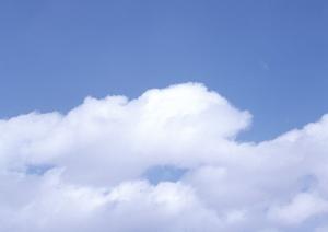 鹿児島という地域で家族葬専門を実施しているサイト