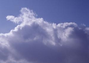 鹿児島で葬式を考えているならここ